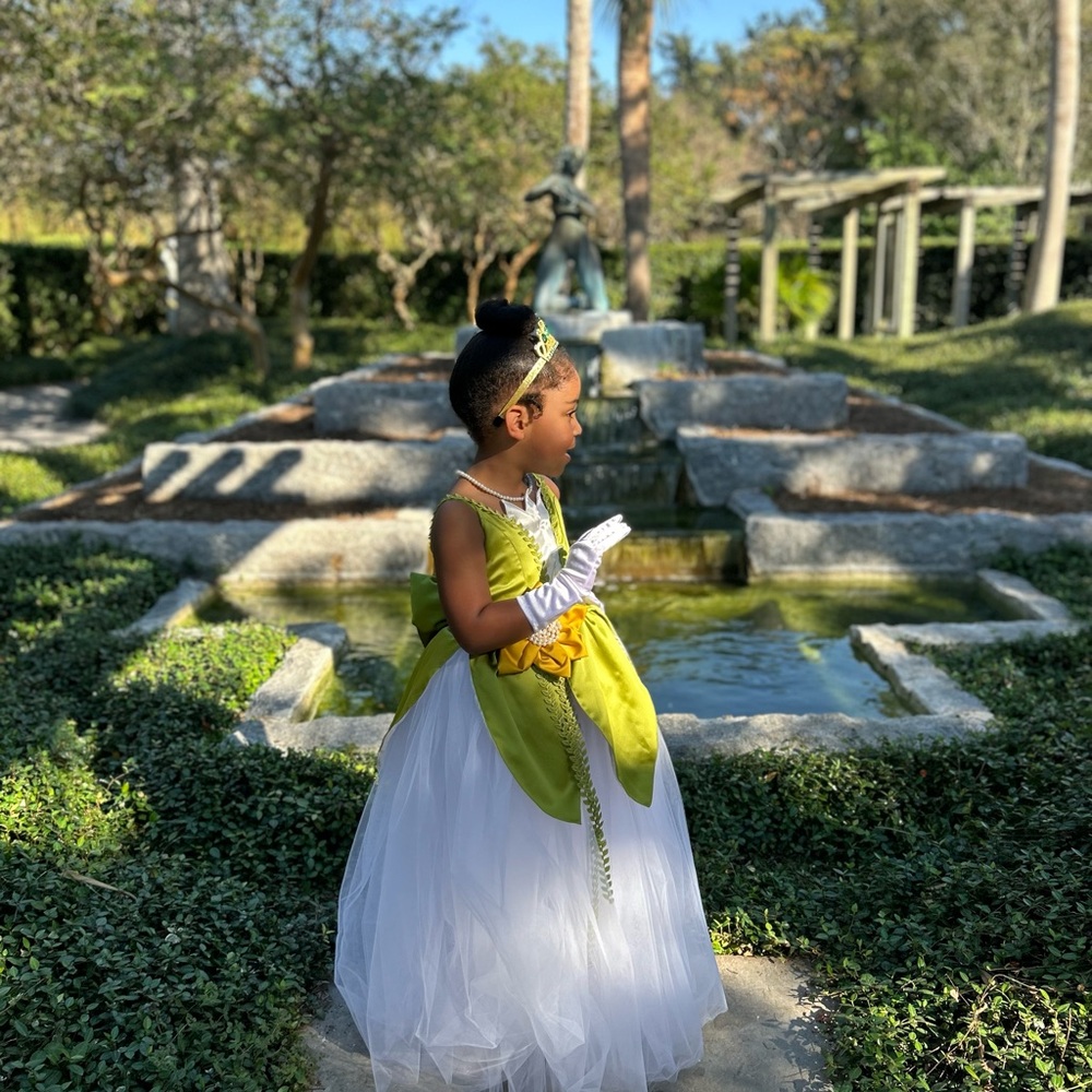 Princess Tiana Dress ✨Disney Princess Dress✨